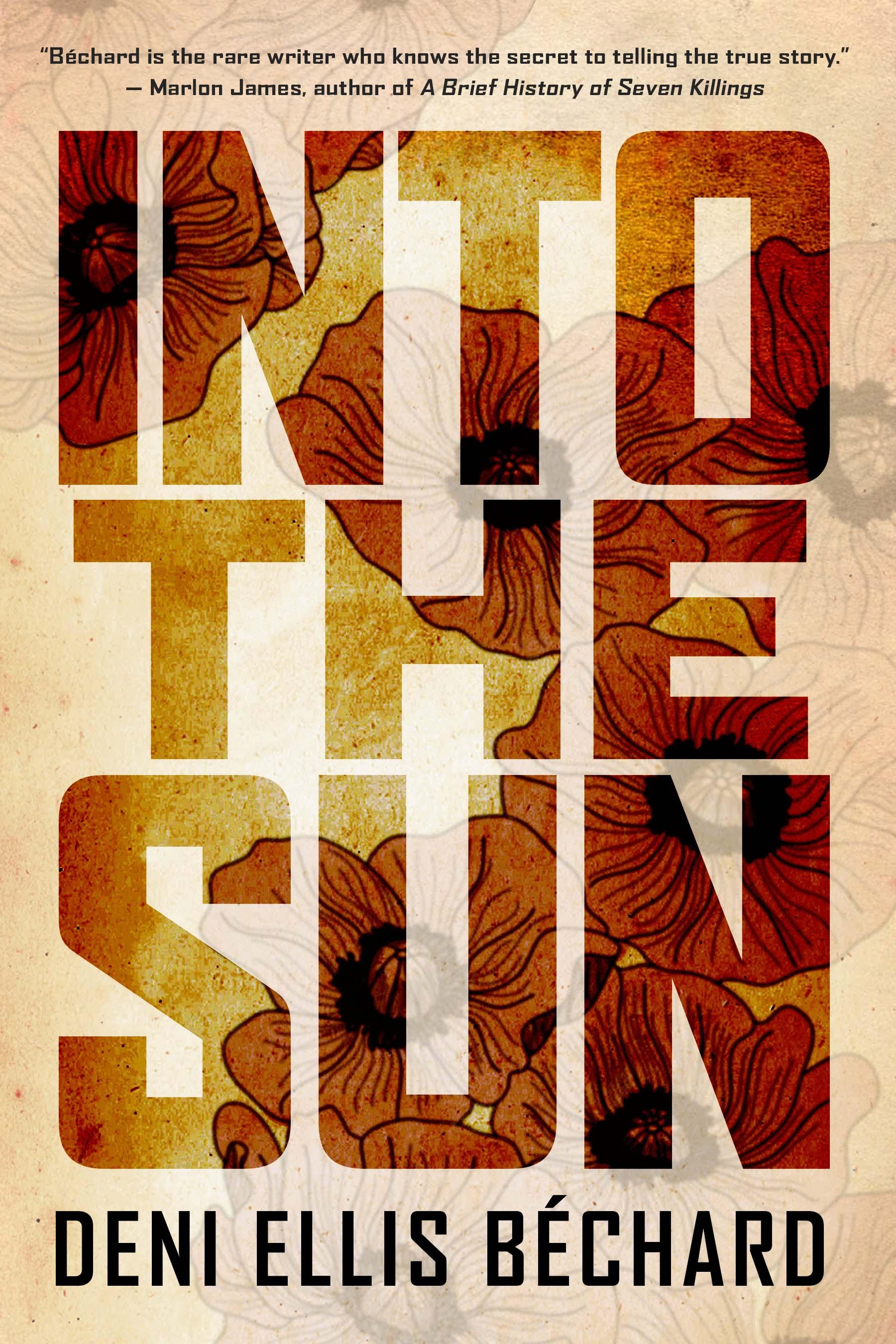 Into the Sun book cover