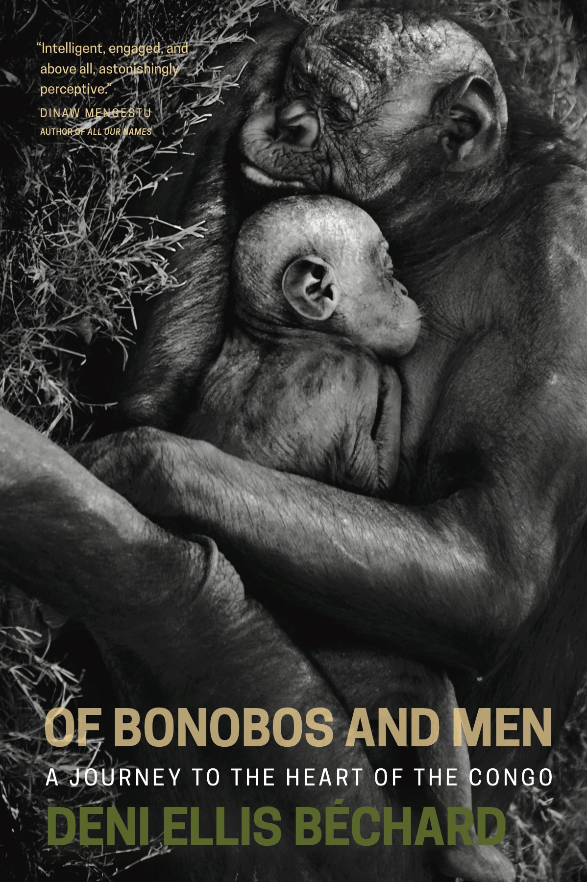 Of Bonobos and Men book cover